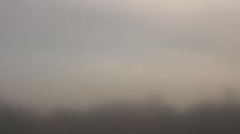 Weather camera view of Winston School.