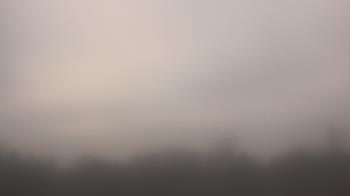 Weather camera view of Winston School.