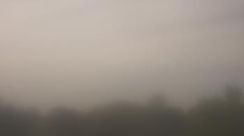 Weather camera view of Winston School.