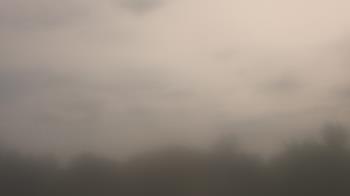 Weather camera view of Winston School.