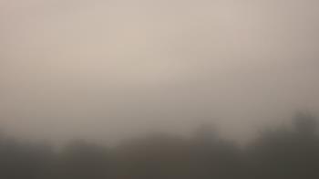 Weather camera view of Winston School.