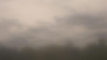 Weather camera view of Winston School.