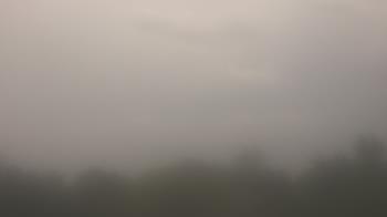 Weather camera view of Winston School.