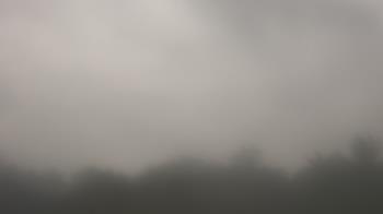Weather camera view of Winston School.