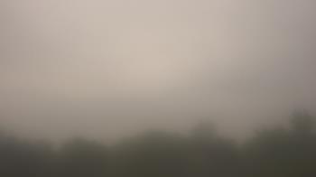 Weather camera view of Winston School.