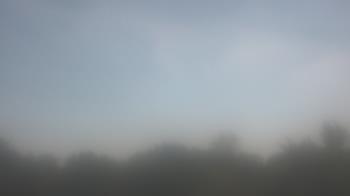 Weather camera view of Winston School.