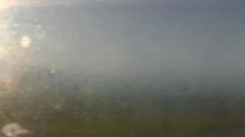 Weather camera view of Guadalupe School Utah.