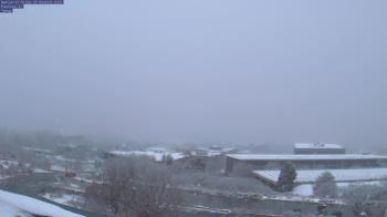 Weather camera view of Red Butte Garden.