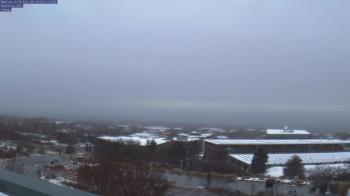 Weather camera view of Red Butte Garden.