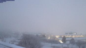 Weather camera view of Red Butte Garden.