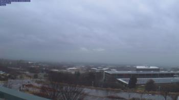 Weather camera view of Red Butte Garden.