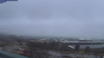 Weather camera view of Red Butte Garden.