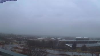 Weather camera view of Red Butte Garden.