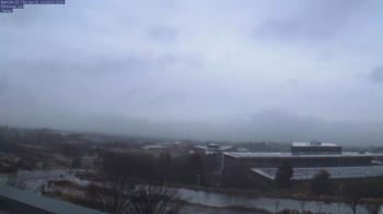 Weather camera view of Red Butte Garden.