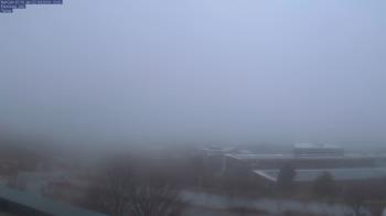 Weather camera view of Red Butte Garden.