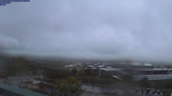 Weather camera view of Red Butte Garden.