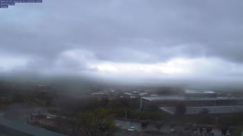 Weather camera view of Red Butte Garden.