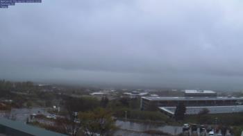 Weather camera view of Red Butte Garden.