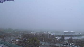 Weather camera view of Red Butte Garden.