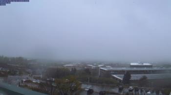 Weather camera view of Red Butte Garden.