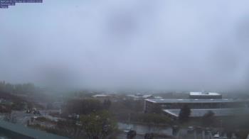 Weather camera view of Red Butte Garden.