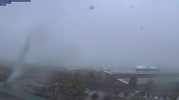 Weather camera view of Red Butte Garden.