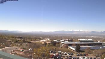 Weather camera view of Red Butte Garden.