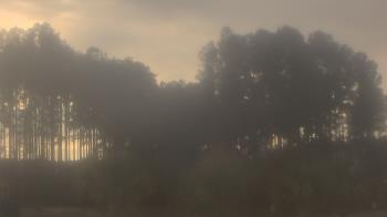 Weather camera view of Sand Hill Elementary.