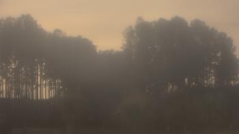 Weather camera view of Sand Hill Elementary.