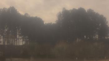 Weather camera view of Sand Hill Elementary.