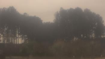 Weather camera view of Sand Hill Elementary.