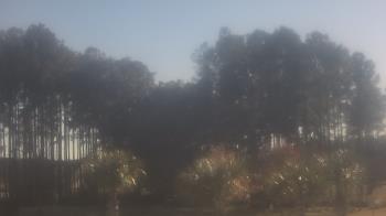 Weather camera view of Sand Hill Elementary.