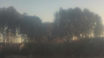 Weather camera view of Sand Hill Elementary.