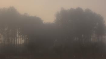 Weather camera view of Sand Hill Elementary.