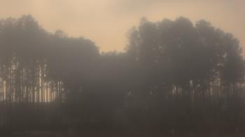 Weather camera view of Sand Hill Elementary.