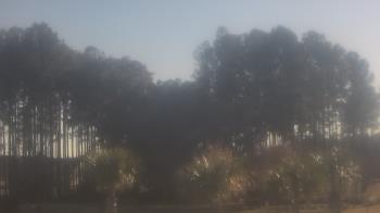 Weather camera view of Sand Hill Elementary.