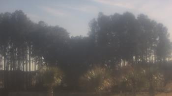 Weather camera view of Sand Hill Elementary.