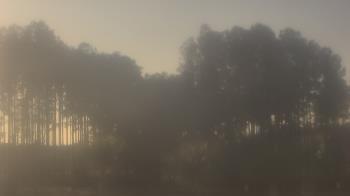 Weather camera view of Sand Hill Elementary.