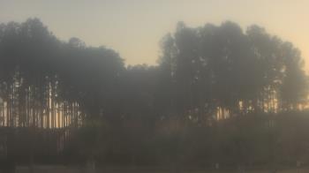 Weather camera view of Sand Hill Elementary.