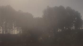 Weather camera view of Sand Hill Elementary.