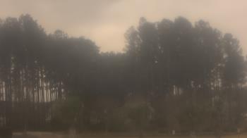 Weather camera view of Sand Hill Elementary.