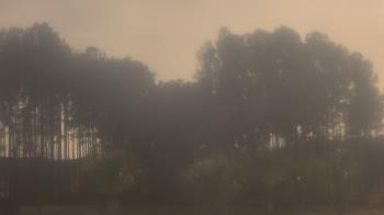 Weather camera view of Sand Hill Elementary.