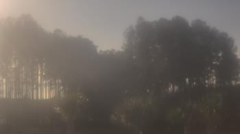 Weather camera view of Sand Hill Elementary.