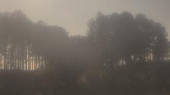 Weather camera view of Sand Hill Elementary.