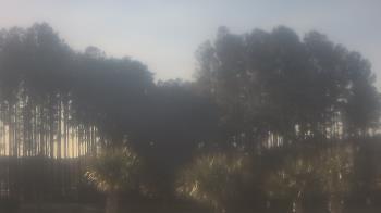 Weather camera view of Sand Hill Elementary.