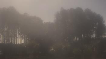 Weather camera view of Sand Hill Elementary.