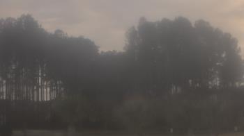 Weather camera view of Sand Hill Elementary.