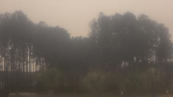 Weather camera view of Sand Hill Elementary.