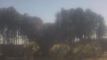 Weather camera view of Sand Hill Elementary.