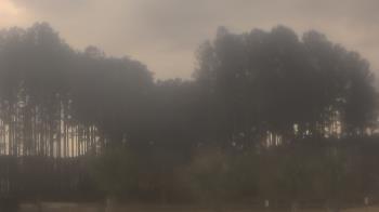 Weather camera view of Sand Hill Elementary.